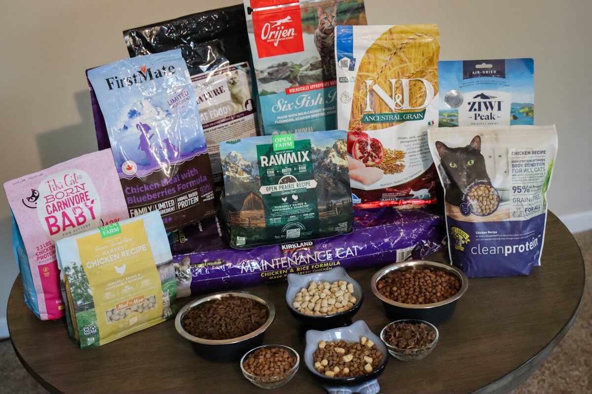 best high protein cat food