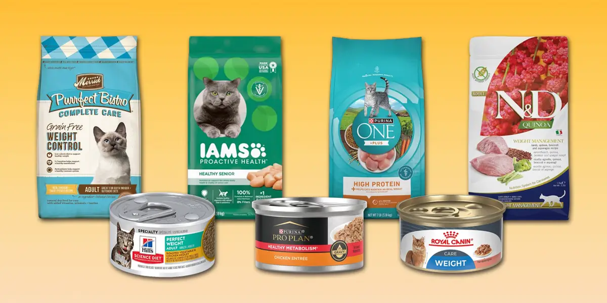 best high protein cat food